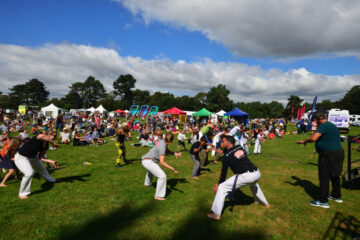 Brazilian capoeira Brazilian capoeira