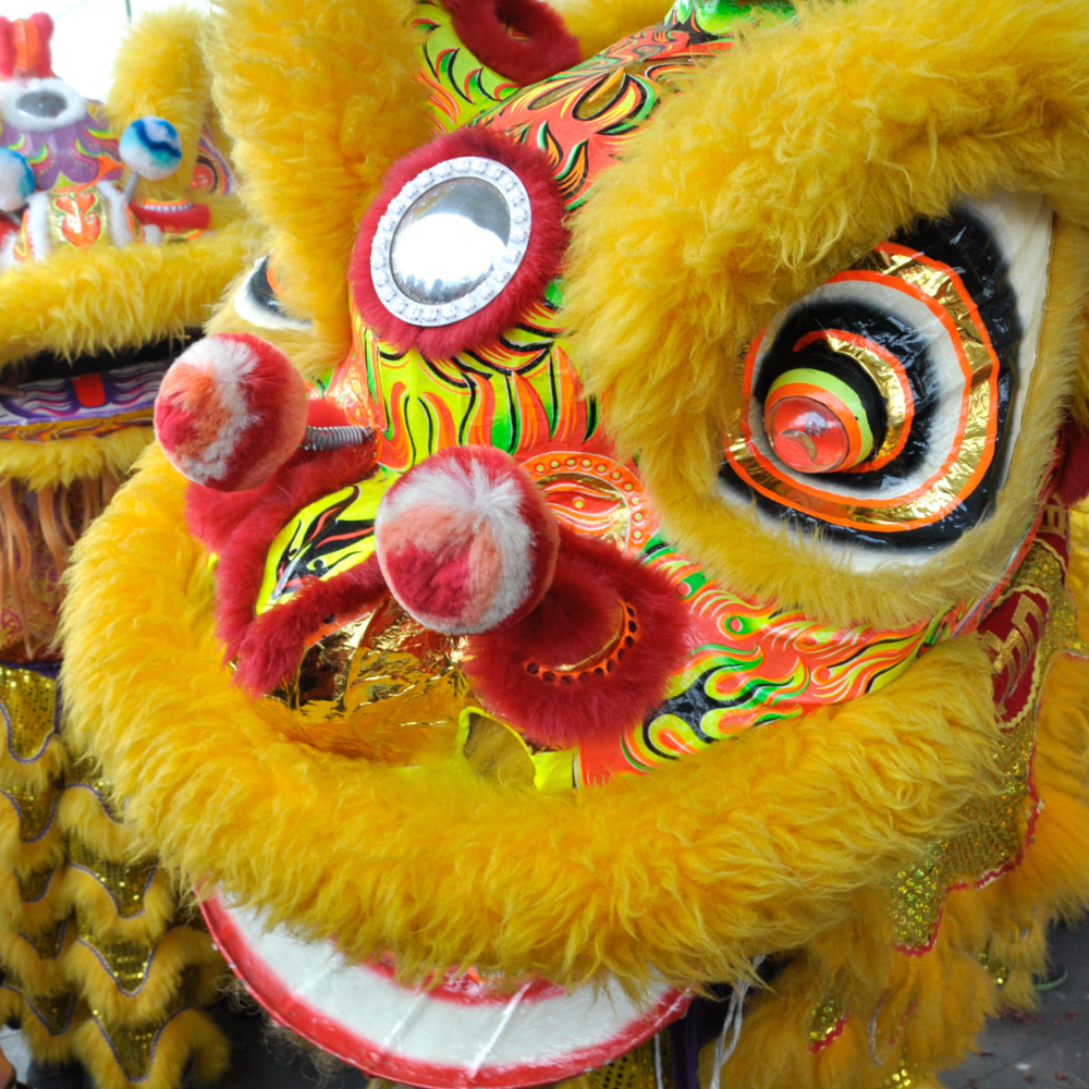 World Dance & Music World Dance & Music